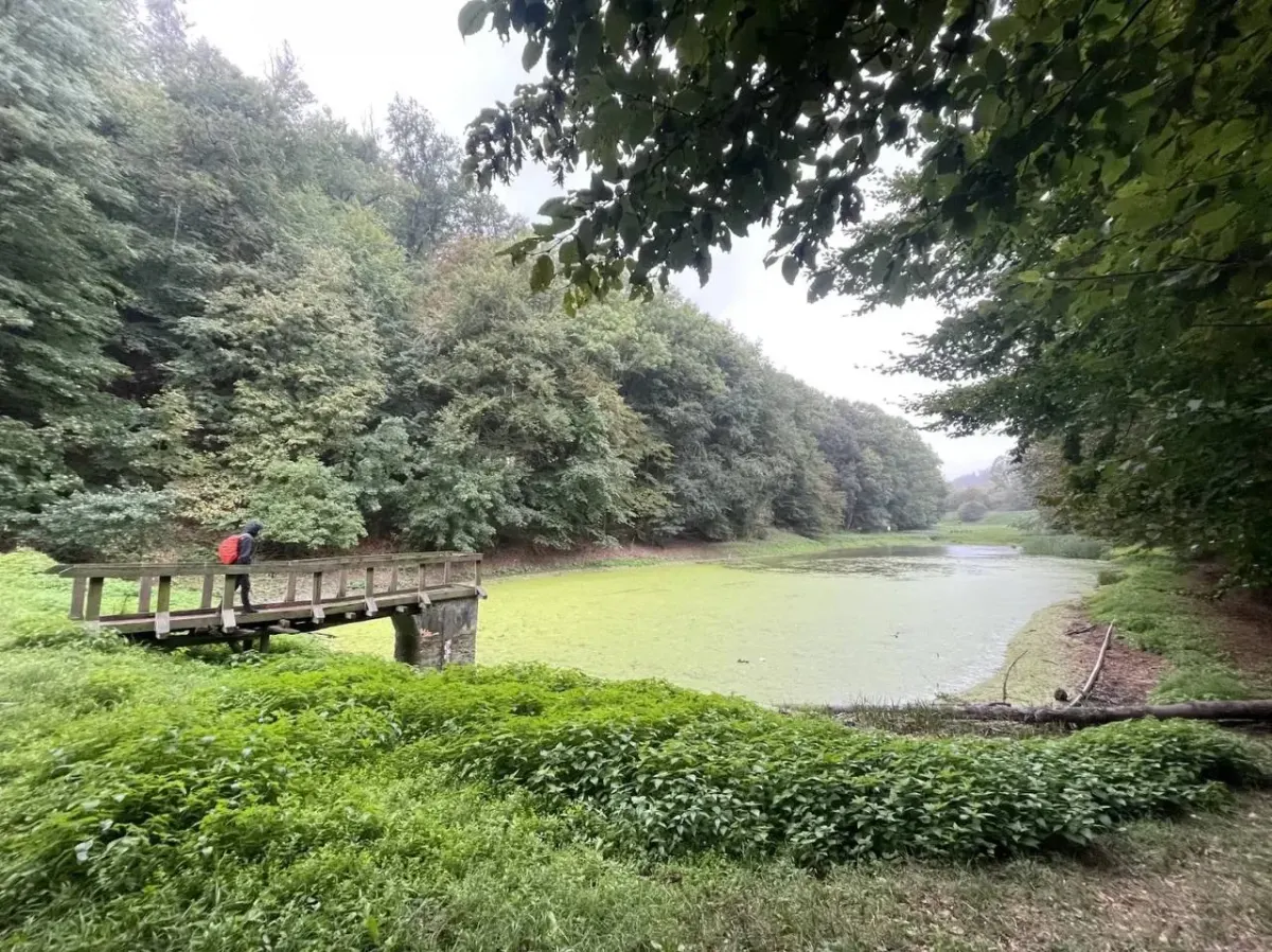 Landscape photo for a Europe wellness retreat planning page focused on stress recovery and balance